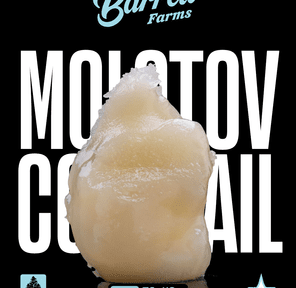 BARRETT ROSIN- 1G MOLOTOV COCKTAIL