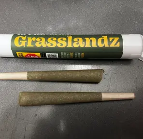 Grasslandz Infused 1 Gram Prerolls - Mowie-Wowie, 2ct