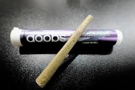 All The Doobs L.B.J.