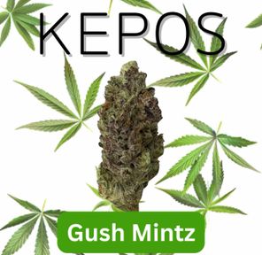 Kepos - Gush Mintz 14g - PREMIUM FLOWER