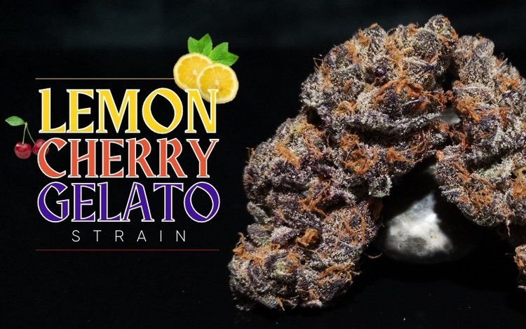 Lemon Cherry Gelato- 14g