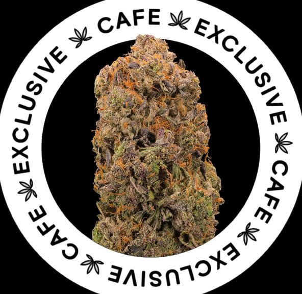 7G CAFE EXCLUSIVES- PINK WOODZ