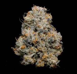 Fig Farms - Shape Shifter (32.2% Indica) - 3.5g Flower