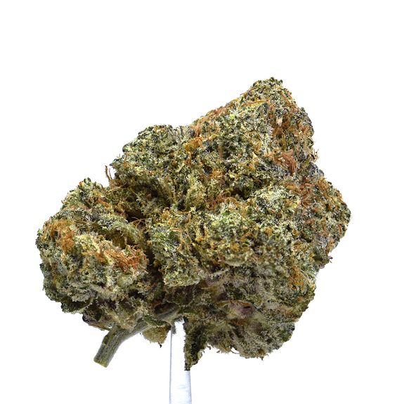 Chimera | $100/oz
