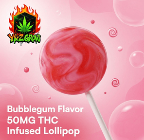 Acadia - Lollipop - Bubblegum 50 MG