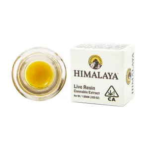 Himalaya - 1g Live Resin (Sour Diesel)