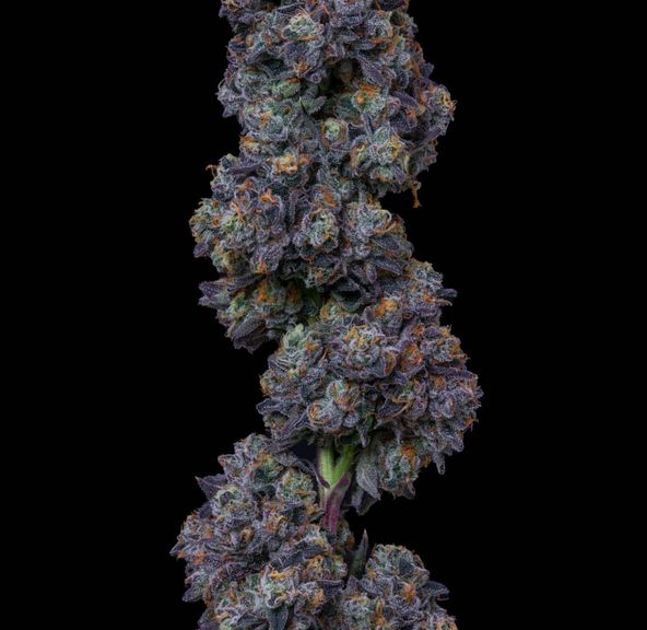 Alt Sol | Permanent Marker - Flower | 1g | Indica-Hybrid