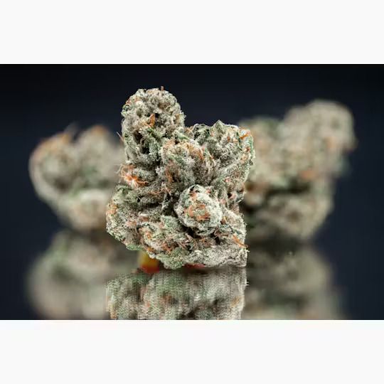 Nameless Genetics - Mega Wellness OG 3.5g