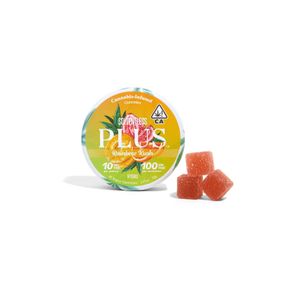 Plus Gummies SS Rainbow Kush 100mg