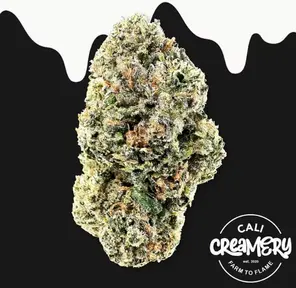 Gelato 33