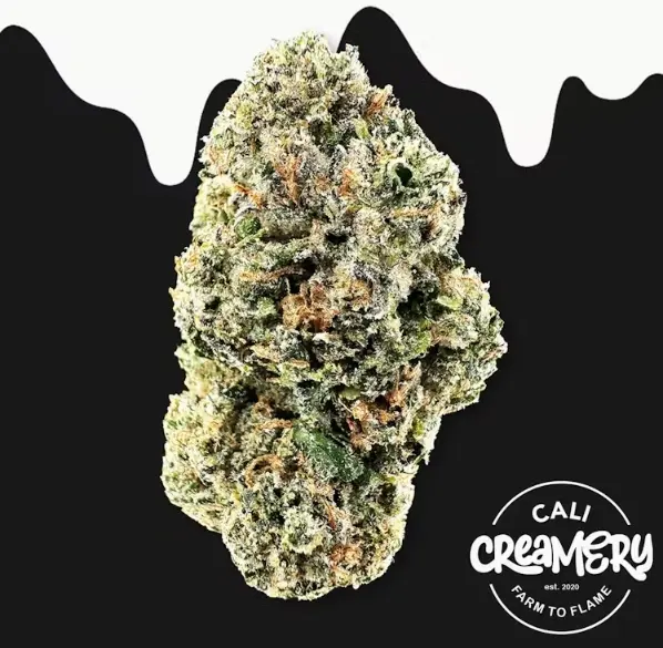 Cali Creamery - Gelato 33 3.5g