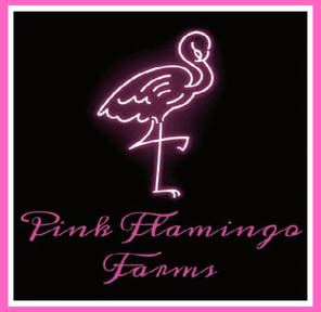 918 Burnt Orange - 29.37% THC - Sativa Dom. (Exotic)