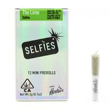 SELFIES- The Lime 12PK Prerolls 3g (S)