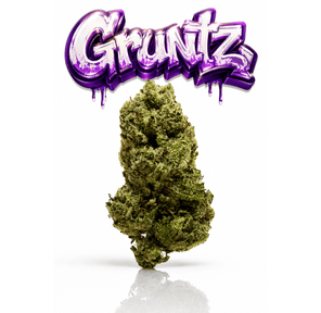 GRUNTZ - 14G | SUNGROWN FLOWER | HYBRID