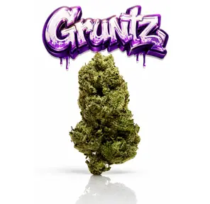 GRUNTZ - 14G | SUNGROWN FLOWER | HYBRID