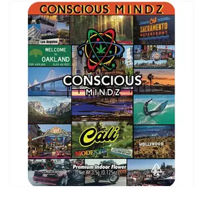Conscious Minds - Cali