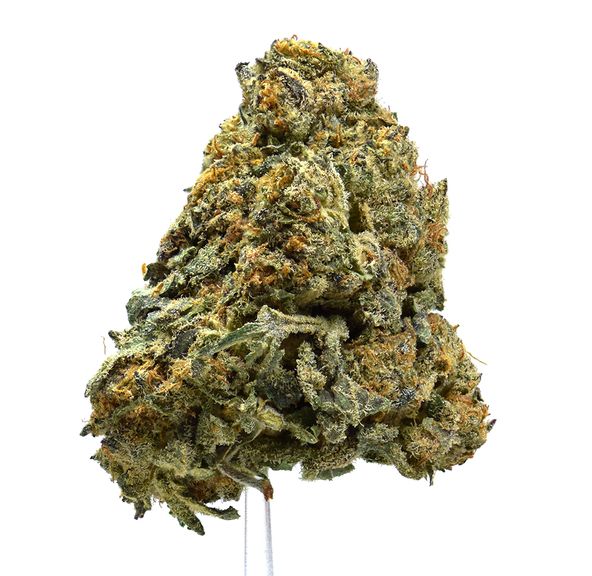 Durban Poison