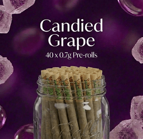 0.7g Pre-Roll: Candied Grape (H) 40 Pack JAR