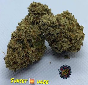 (BearLabs) zerbert 1G HCE