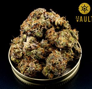 AAAA | PINK GAS MASK