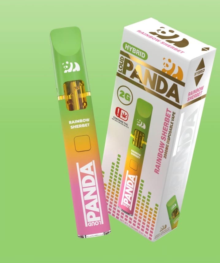 rainbow sherbet disposable vape Loud Panda - - 2g at Space Station Dispensary LLC Lost Mary BM6000 breeze disposable Flavour:Honey Melon