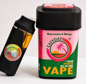 Disposable- Watermelon Mango 1g