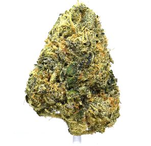 Sour Jack