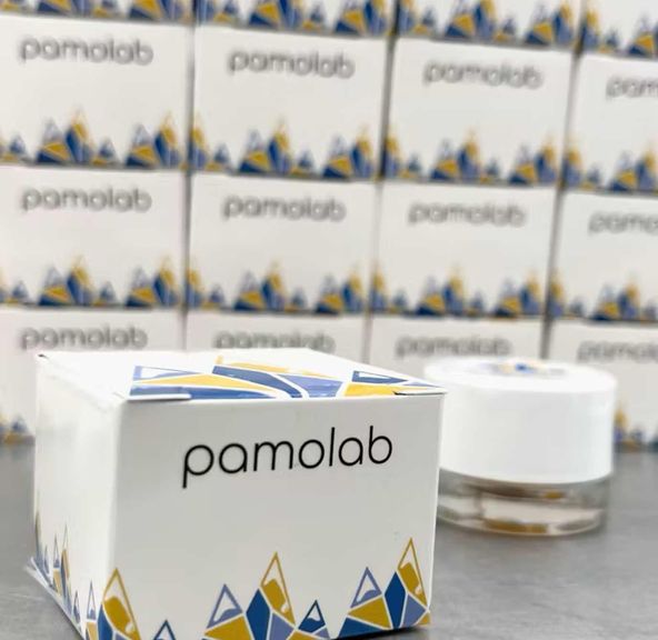 Pamolab Cured Resin White Box COSMIC COLLISION