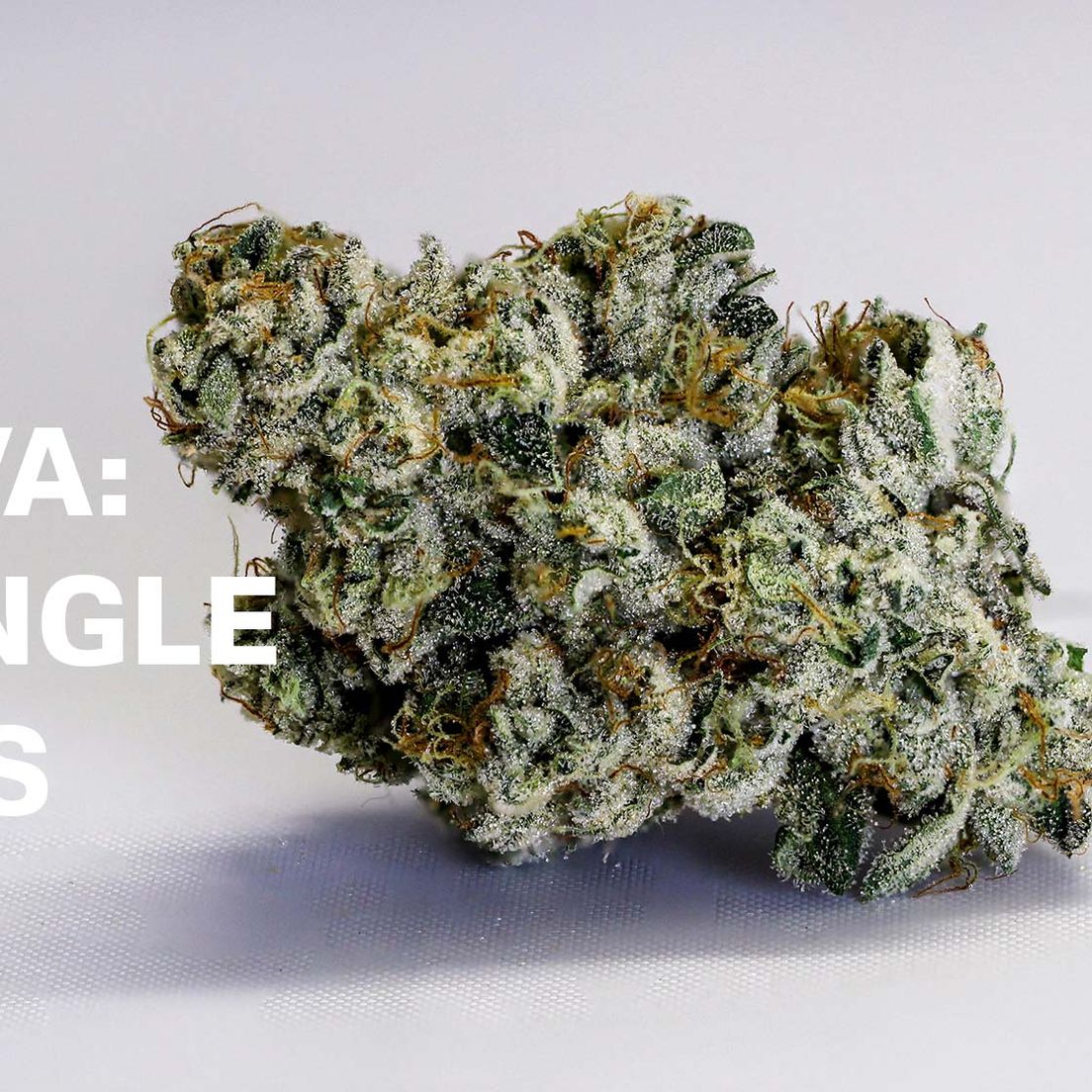 Korova - Triangle Mints 3.5g