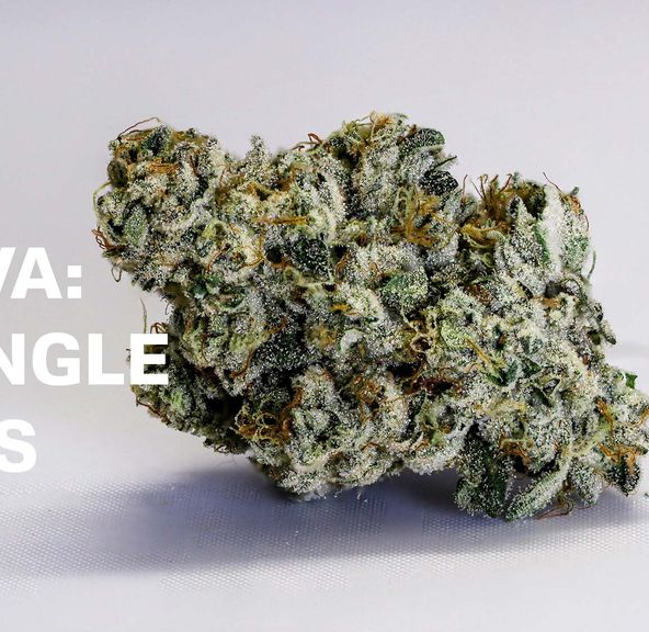 Korova - Triangle Mints 3.5g