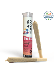 Coastal Sun - Tropicana Cherry 2pk Infused Prerolls 1.5g