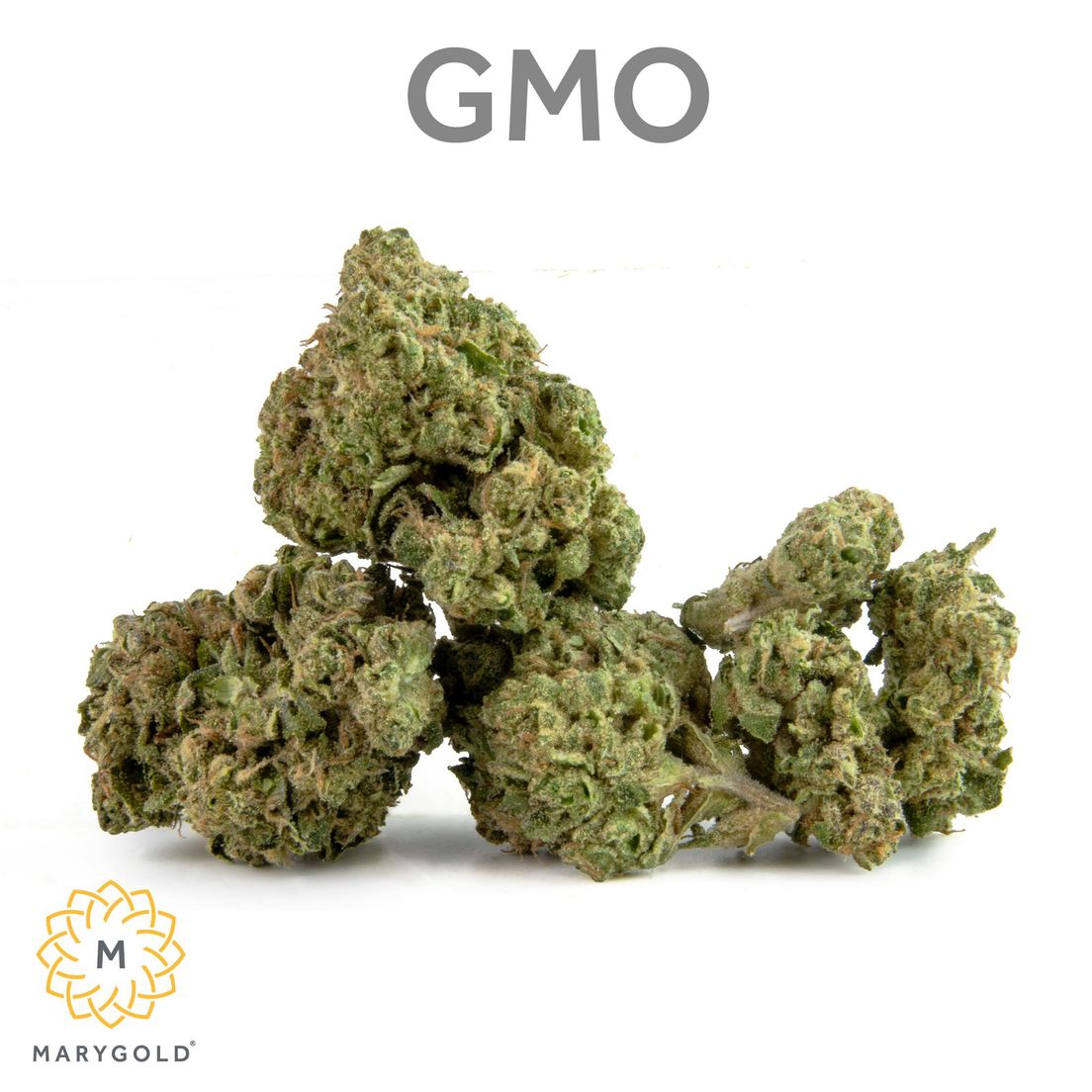 GMO 3.5g