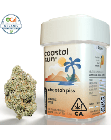 Coastal Sun - Cheetah Piss 3.5g