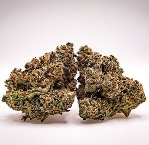 Jealousy 1/2 Ounce Top Shelf Indoor Grown 31.45% THC