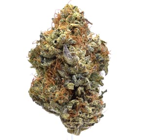 Blueberry [CE]