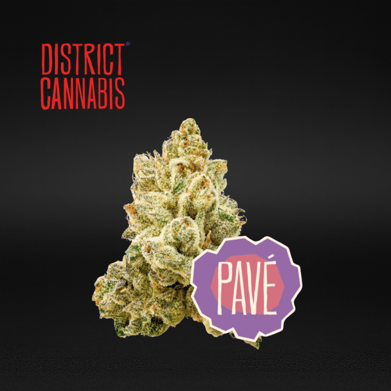 District Cannabis | Pavè - Flower | 3.5g | Sativa-Hybrid