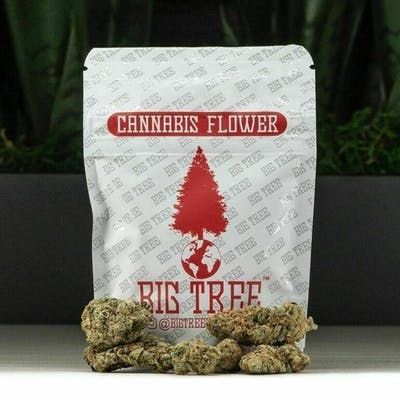 B. Big Tree 14g Flower - Quality 7.5/10 - Jelly Donut
