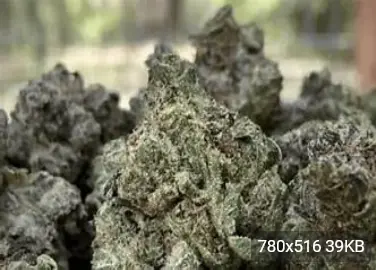 Native Care - Donny Burger, 3.5 grams