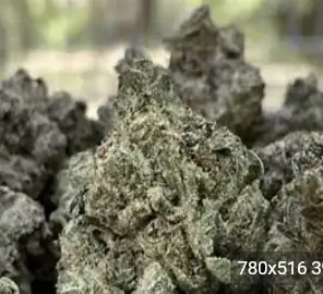 Native Care - Donny Burger, 3.5 grams