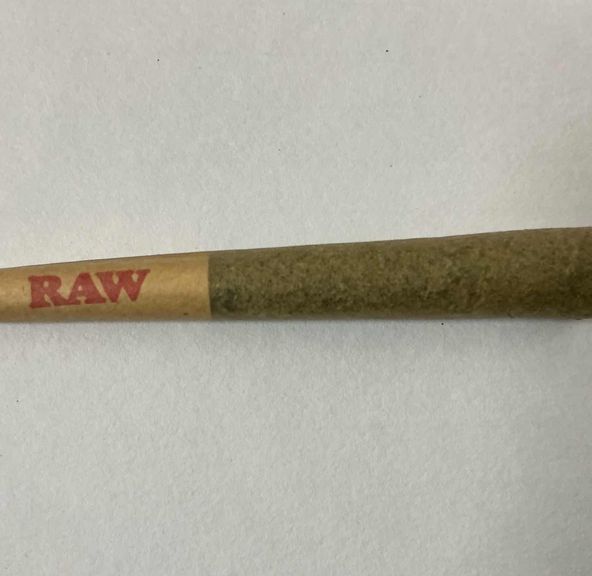 Dog Walker Pre Roll