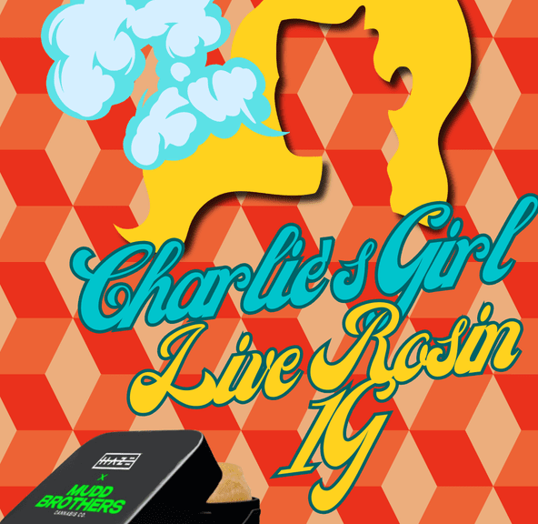 Badder: Charlie's Girl (Live Rosin) - Haze X Mudd Brothers - 1G