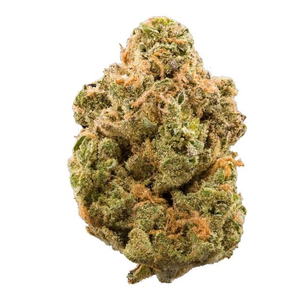 Green Joy | Rainbow Sherbert | 14g All Flower Buds