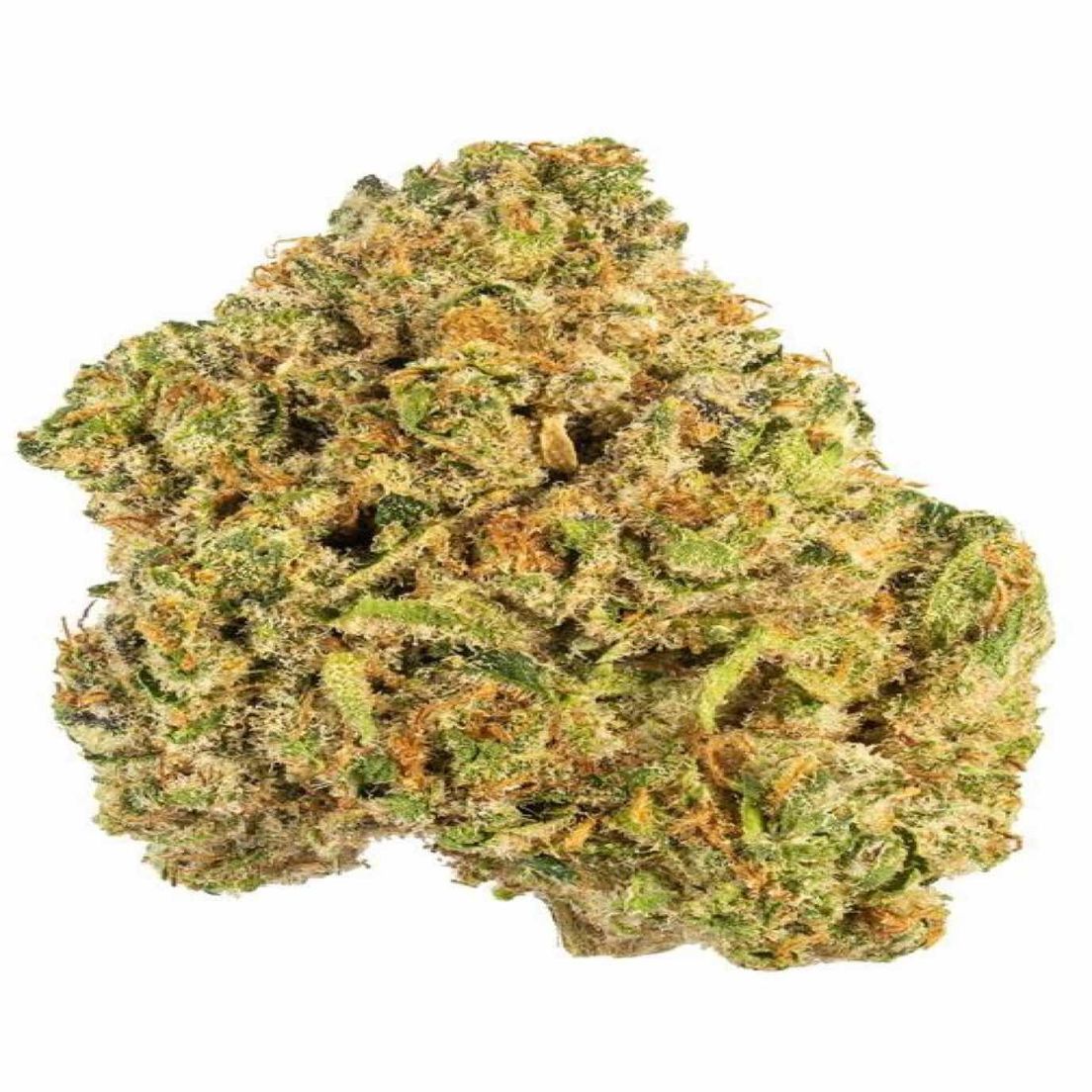 Bubba $100