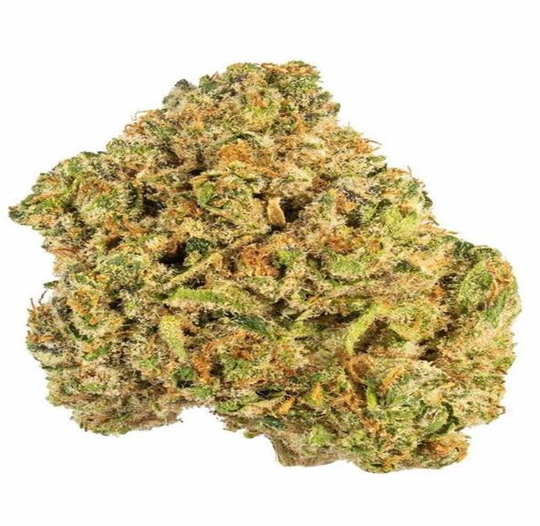 Bubba $100