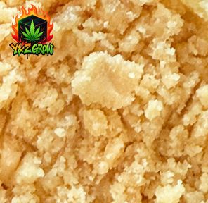 ❤️NEW❤️Extracts #1 - Tiki Sugar