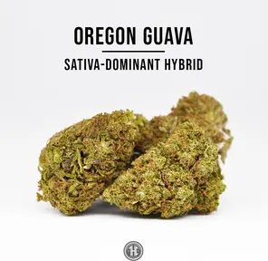 CBD Hemp Flower - Oregon Guava