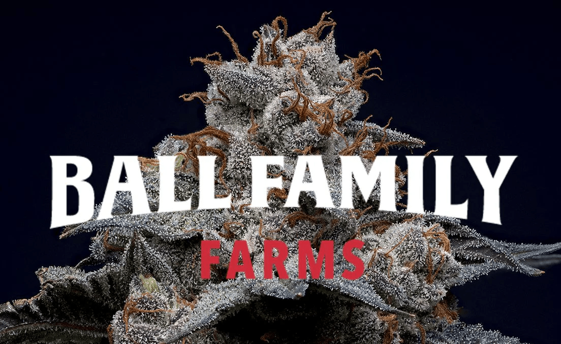 Ball Family Farms - Morpheus - 4g Flower