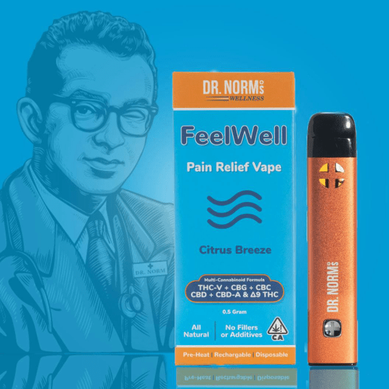 Feel Well | Pain Relief Disposable Vape