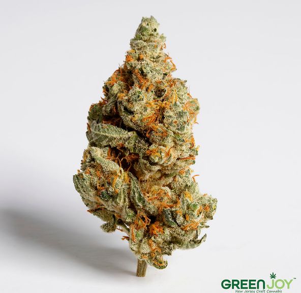 Green Joy | Banana Cookies | 14g All Flower Buds