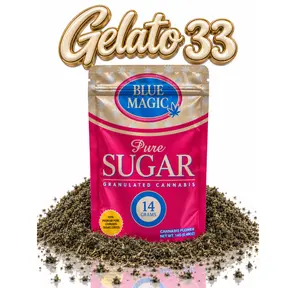 GELATO 33 - 14G | INDOOR SUGAR SHAKE
